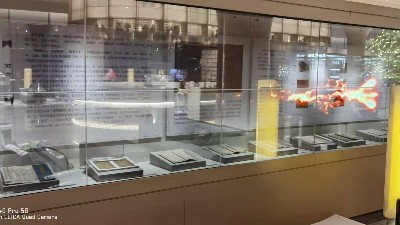 透明屏OLED拼接屏應用河北某企業(yè)建設(shè)科技館展廳項目展示